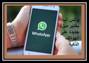 Read more about the article واتس أب يختبر ميزة جديدة على الهواتف الذكية