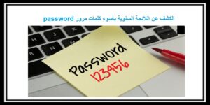 Read more about the article الكشف عن اللائحة السنوية بأسوء كلمات مرور password