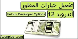 Read more about the article خيارات المطور أندرويد 12 | تفعيل Developer options in Android 12