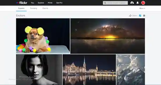 Flickr هو موقع لاستضافة الصور ومقاطع الفيديوهات